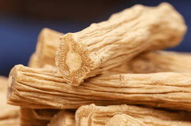 Benefits of Codonopsis Root