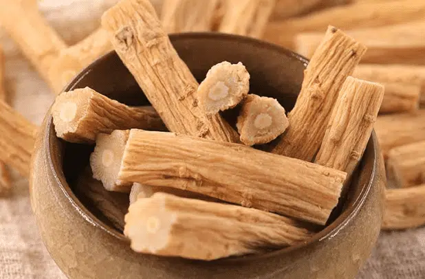 Singling Isatis Root Extract Ban Lan Gen